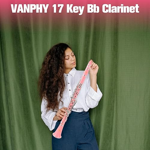 Vista 19 de Clarinete BB para principiantes, estudiantes, clarinete plano B, clarinete de 17 teclas con correa de soporte, 2 barriles, 8 boquillas, cojín