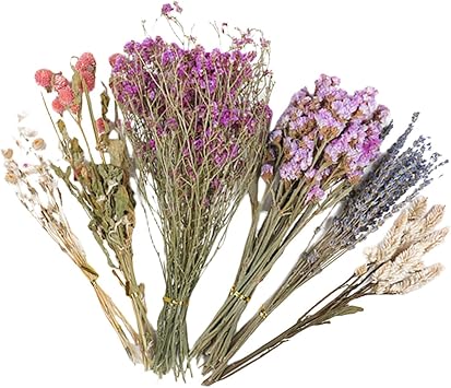 Natural Hamster Bedding with Flowers   Dried Flower & Plant Habitat Decor Sprays | Soft Floral Bedding for Nesting | Aesthetic Small Animal Cage Accessories for Syrian Hamsters, Gerbils & Chinchillas
