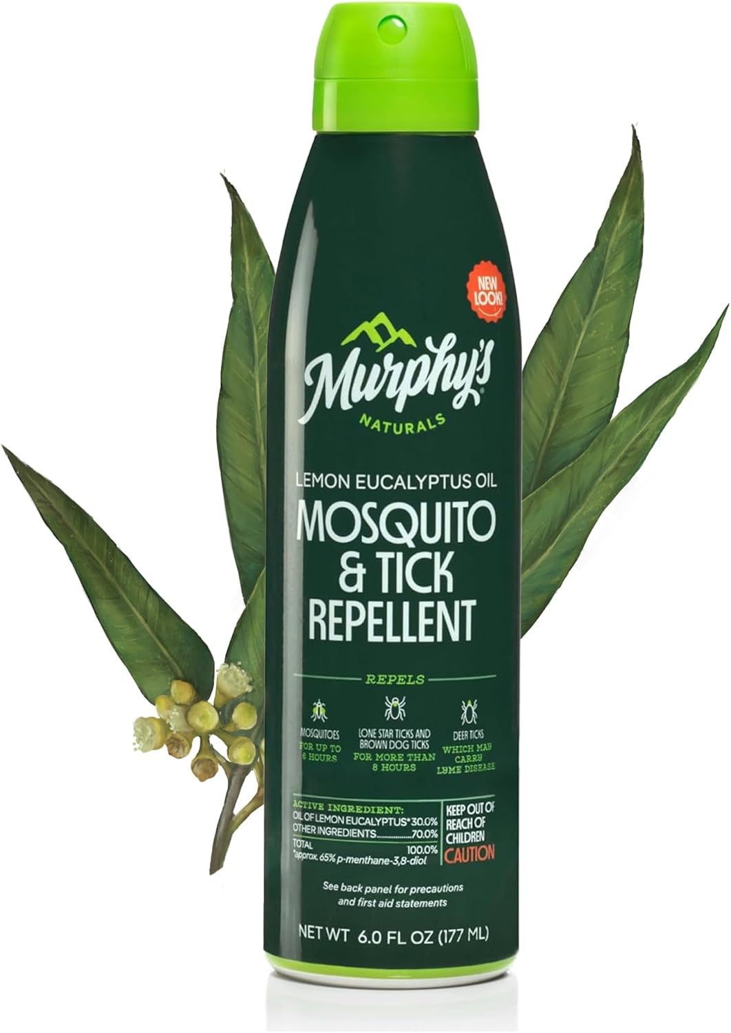 6 Fl Oz (Pack of 1)