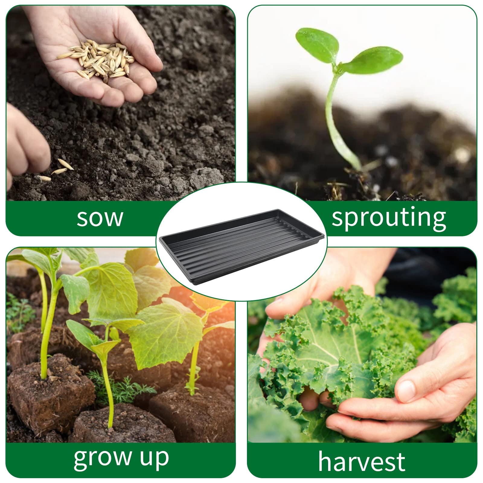 TECNOKIT FIORIERA A PARETE COMBY GREEN | Leroy Merlin - Foto 14