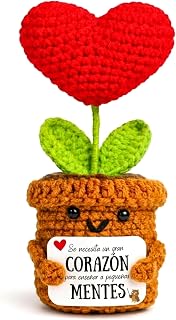 Regalo Profesora / Profesor – Corazón de Ganchillo “Se necesita un gran corazón para enseñar a pequeñas mentes” – Regalo Profe Fin de Curso, Maestra Infantil – Detalle Original para Profesores