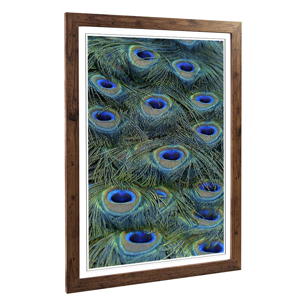 Big Box Art Framed Print of Peacock Feathers Design | Wall Art Picture | Home Decor for Kitchen, Living, Dining Room, Lounge, Bedroom, Hallway, Office, Walnut, A2 / 24.5x18 Inch / 62x45cm