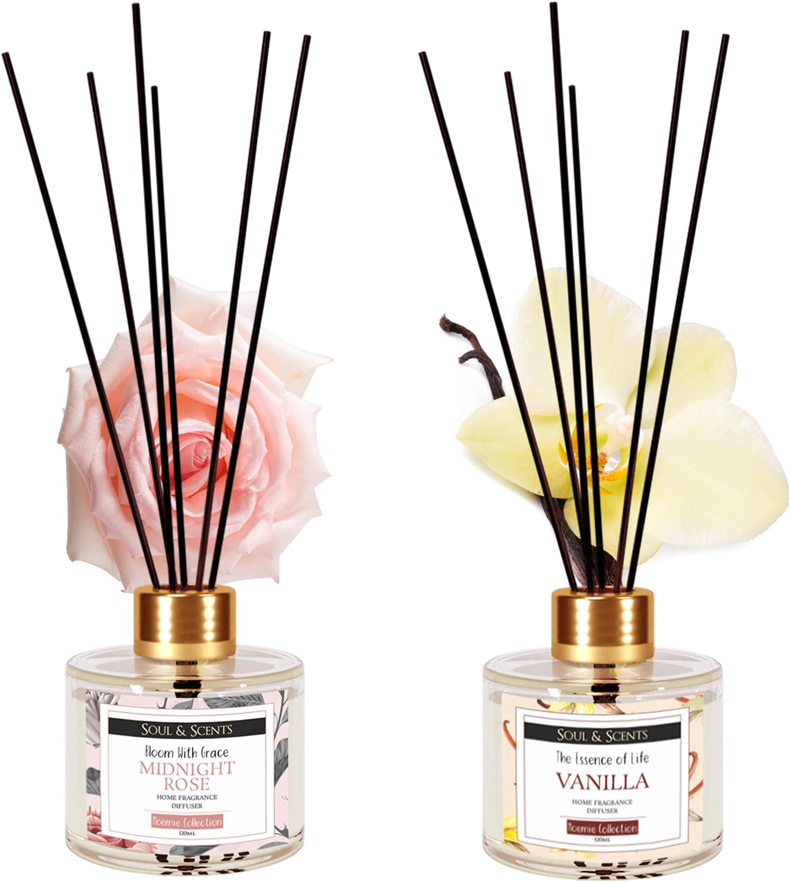 Soul & Scents Vanilla and Midnight Rose Reed Diffuser Set - 120ml with Free 6 Fiber Reed Sticks Each|Toxin Free & Stress Relief |Long Lasting|Room Freshener for Home, Bedroom & Office| Combo Pack of 2