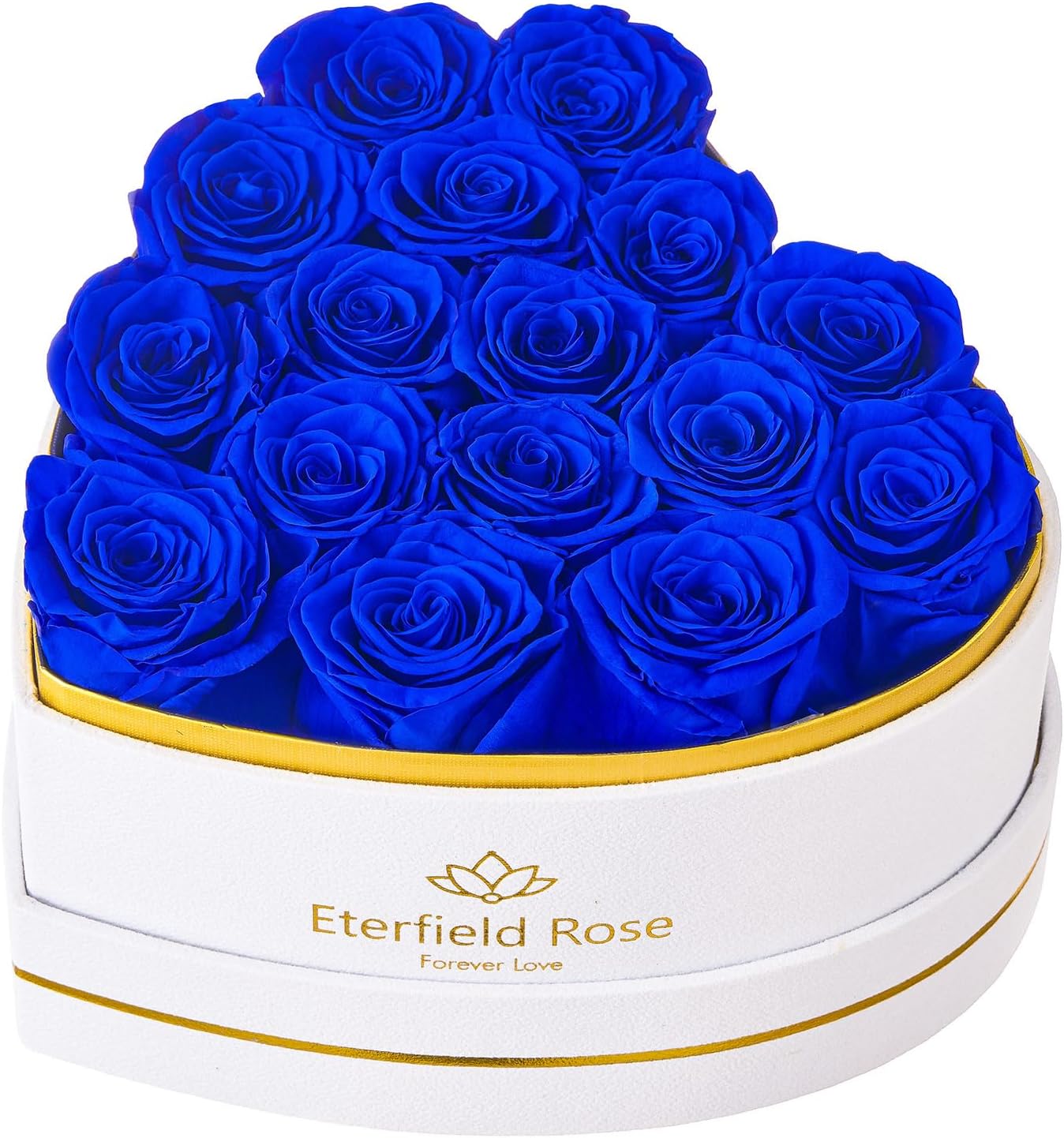 Eterfield 16 Forever Flowers in Heart Shape Box, Preserved Roses That Last a Year Preserved Flowers Birthday Gifts for Her Mom Women Wife Anniversary Valentines Day Mothers Day Christmas, Royal Blue