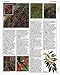 Royal Horticultural Society A-Z Encyclopedia of Garden Plants (RHS)