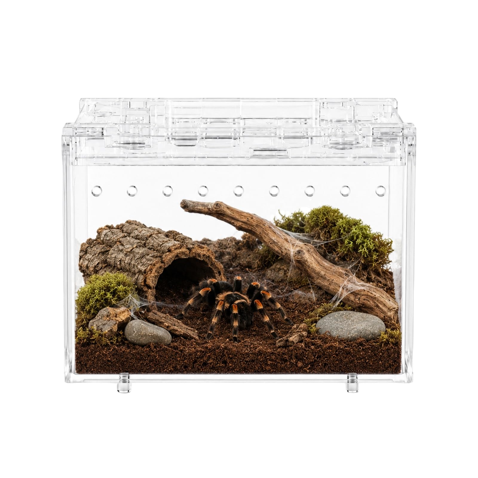 View 1 of [Missing Pieces] CUMQNEXRAT Mini Reptile PC Terrarium Enclosure