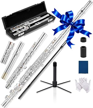 AKLOT Closed-Hole Concert C Flute Flute Instrument with 16 Keys, Offset G, Smooth Silver-Plated Keys, Air-Tight Pads, Include Stylish Leather Hard Case, Cleaning Kit, Stand, Gloves LUM-MV