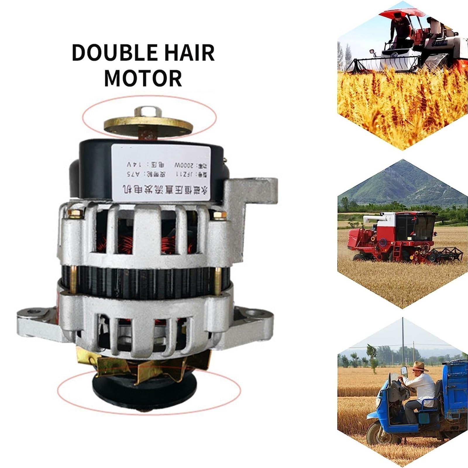 2000W Permanentmagnet DC Generator, Low RPM Brushless Generator mit Spannungsregler für landwirtschaftliche Fahrzeug-Beleuchtungssysteme