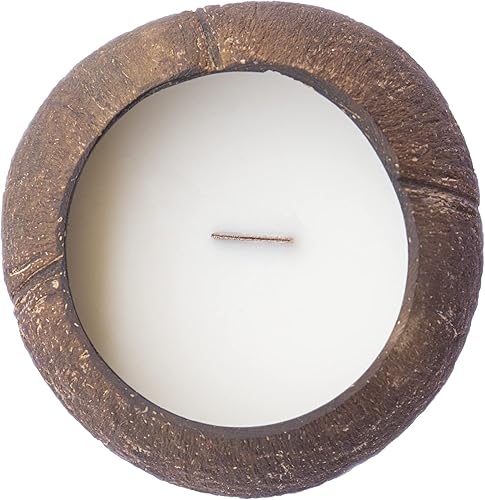 Eco Four Twenty Vela de coco natural en un coco real. Mezcla de coco natural y cera de soja, quema más de 40 horas (lavanda lujosa)