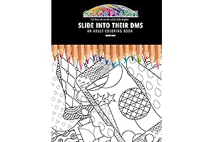 SLIDE INTO THEIR DMS: AN ADULT COLORING BOOK