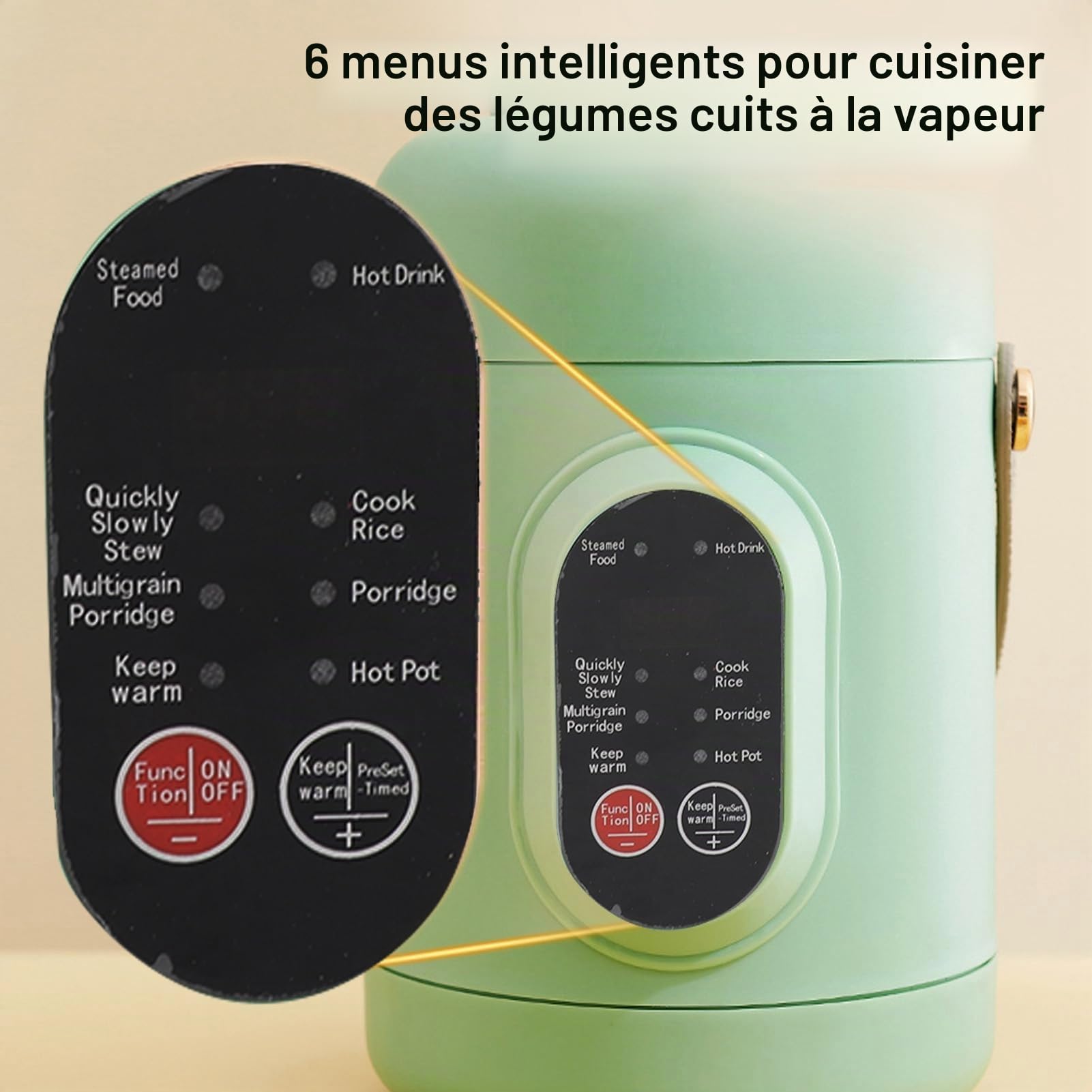 Marmite électrique Multifonctionnelle, Bouilloire électrique 500 W, Marmite Portable pour Nouilles, Bouillie, Soupe, Riz, Flocons D'avoine, avec Poignée, pour Femmes au Foyer