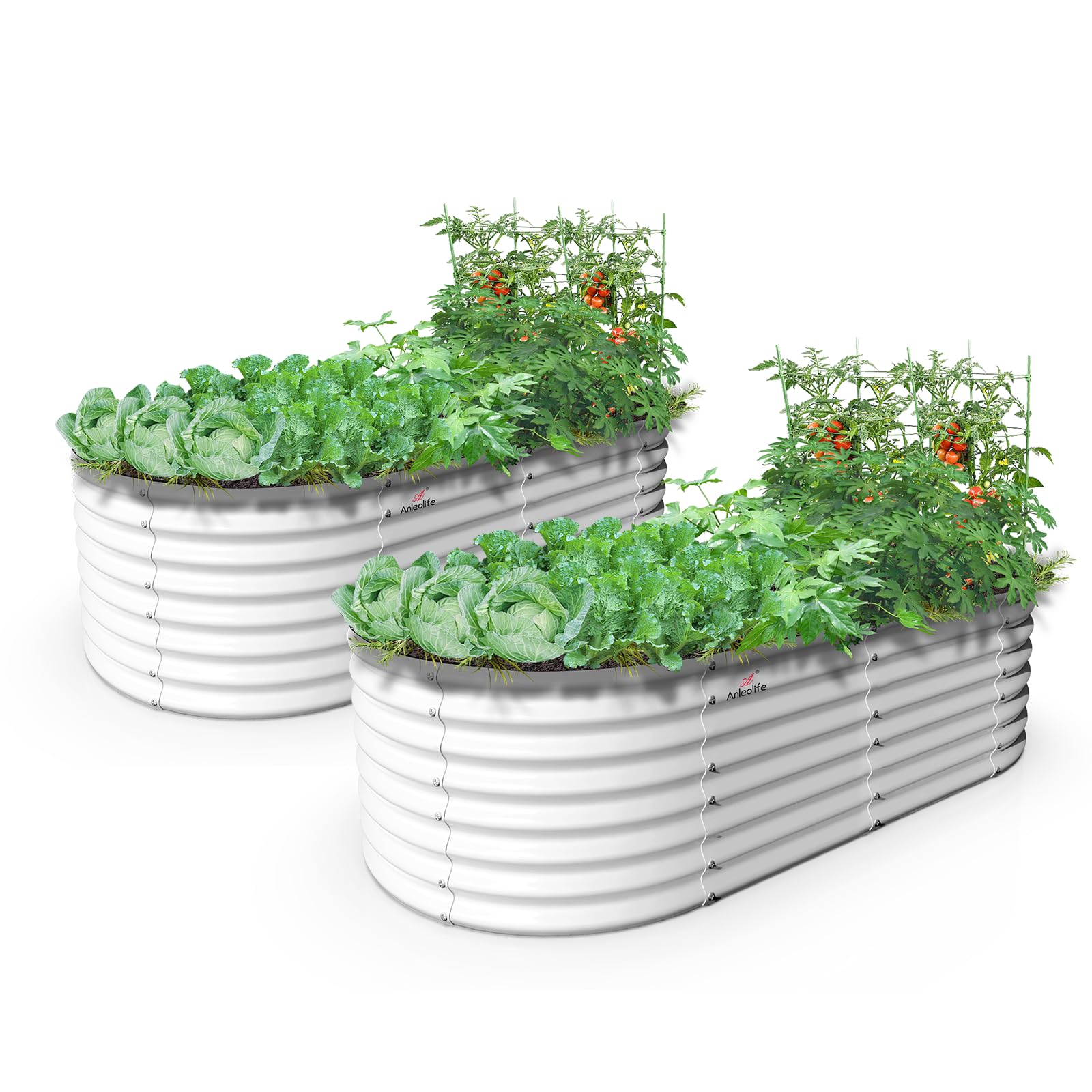A ANLEOLIFE 6X3X2 ft Galvanized Raised Garden Beds Outdoor-2 Pack, Oval Large Metal Deep Root Planter Box for Planting Vegetables Flowers Herb, Anti-Rust & Easy-Setup, Antique White