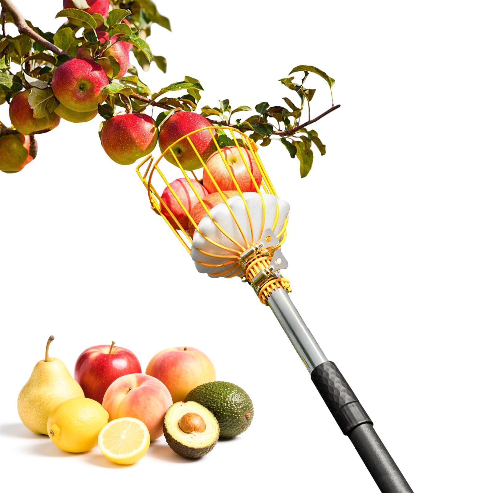 BlumeTrec Fruit Picker 4.1M, Apple Picker Tool with Adjustable Pole and Basket, Long Reach Mango Grabber Tool, Tree Fruit Catcher for Picking Lemon Pear Orange Avocado Peach Citrus