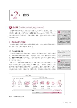 最新臨床検査学講座 血液検査学 第2版 | 奈良 信雄 |本 | 通販