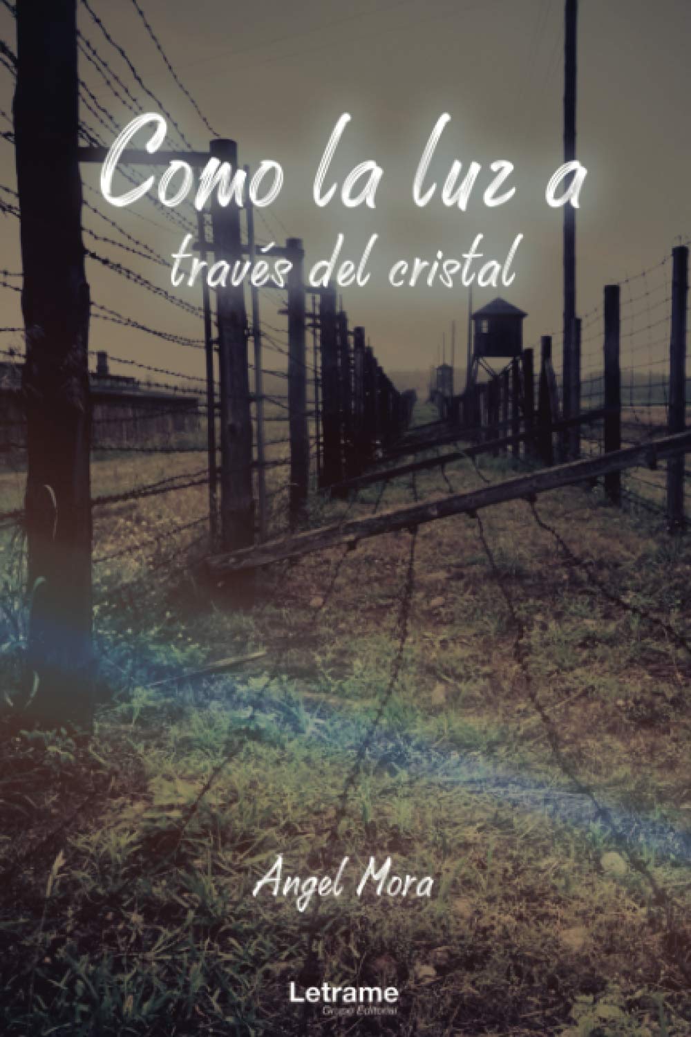 Como la luz a través del cristal (Spanish Edition)