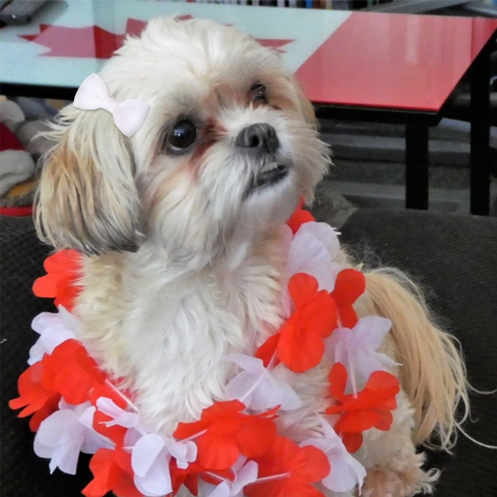Tutù per cani da sposa con fiocco per capelli bianco taglia piccola e media 1 confezione