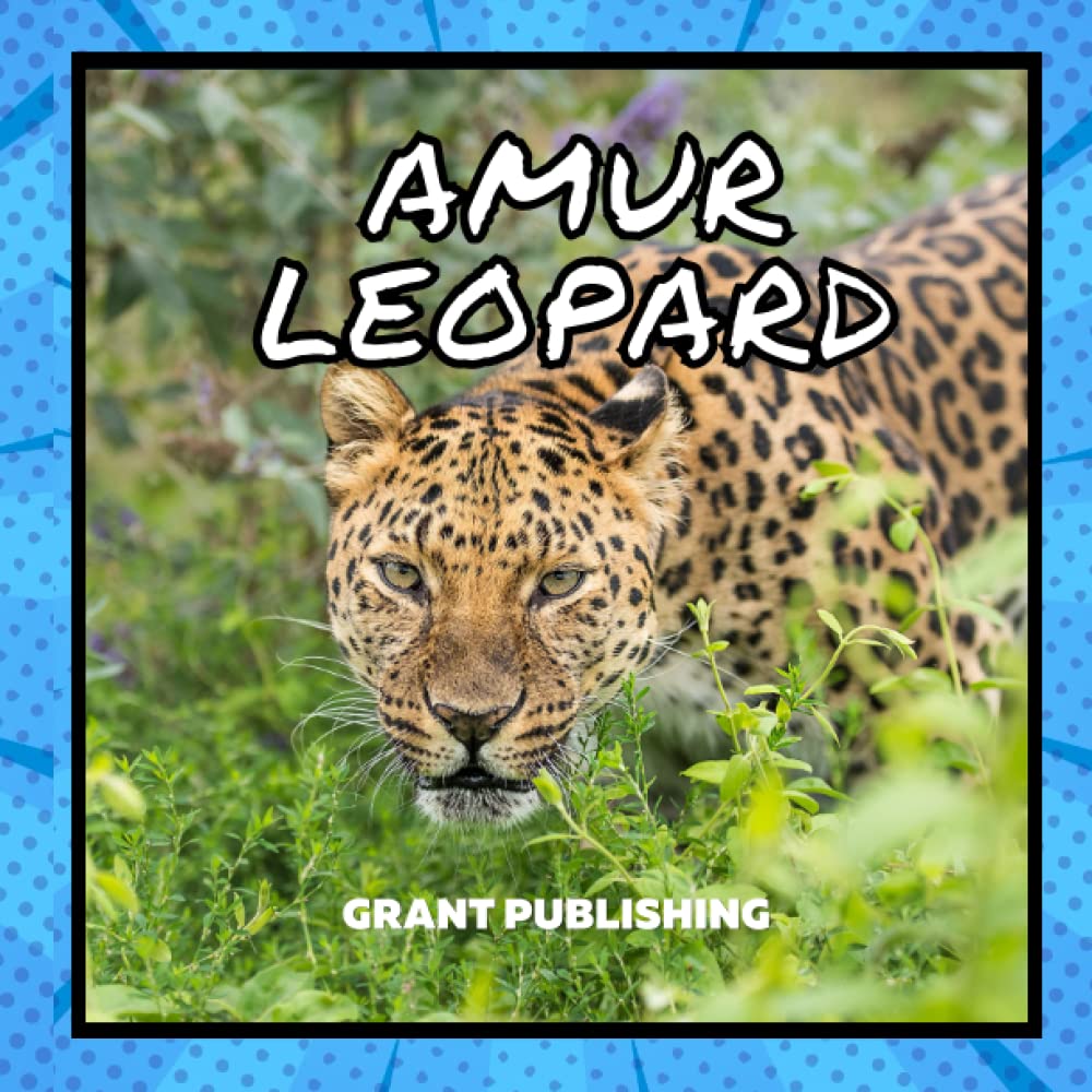 Amur Leopard: Wildlife Books for Kids (Wildlife book for young children)
