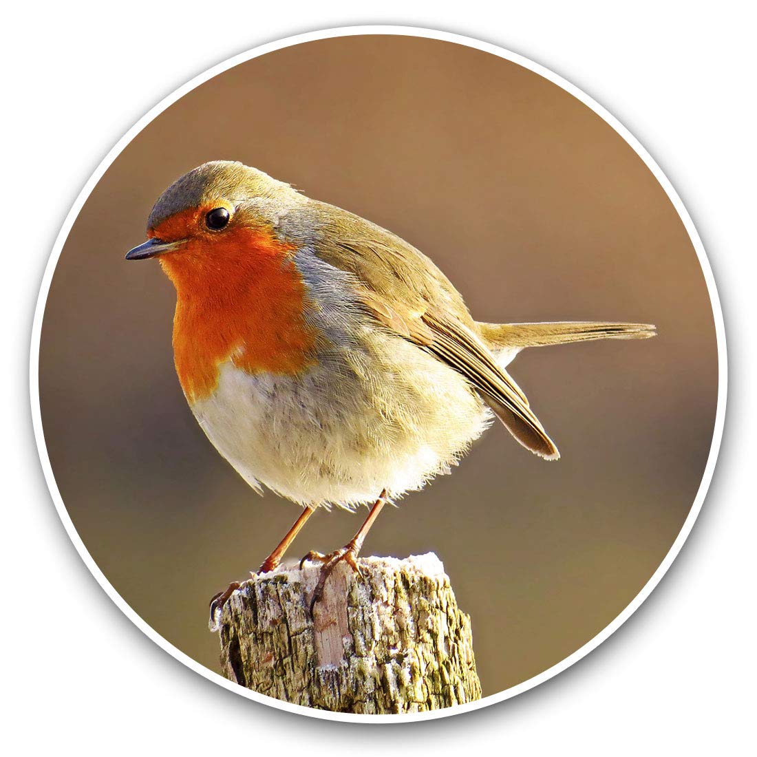Destination Vinyl Ltd Robin Redbreast Bird Animals Birds 8701 Vinyl Stickers (Set Of 2) 7.5Cm - Robin Redbreast Bird Animals Birds #8701