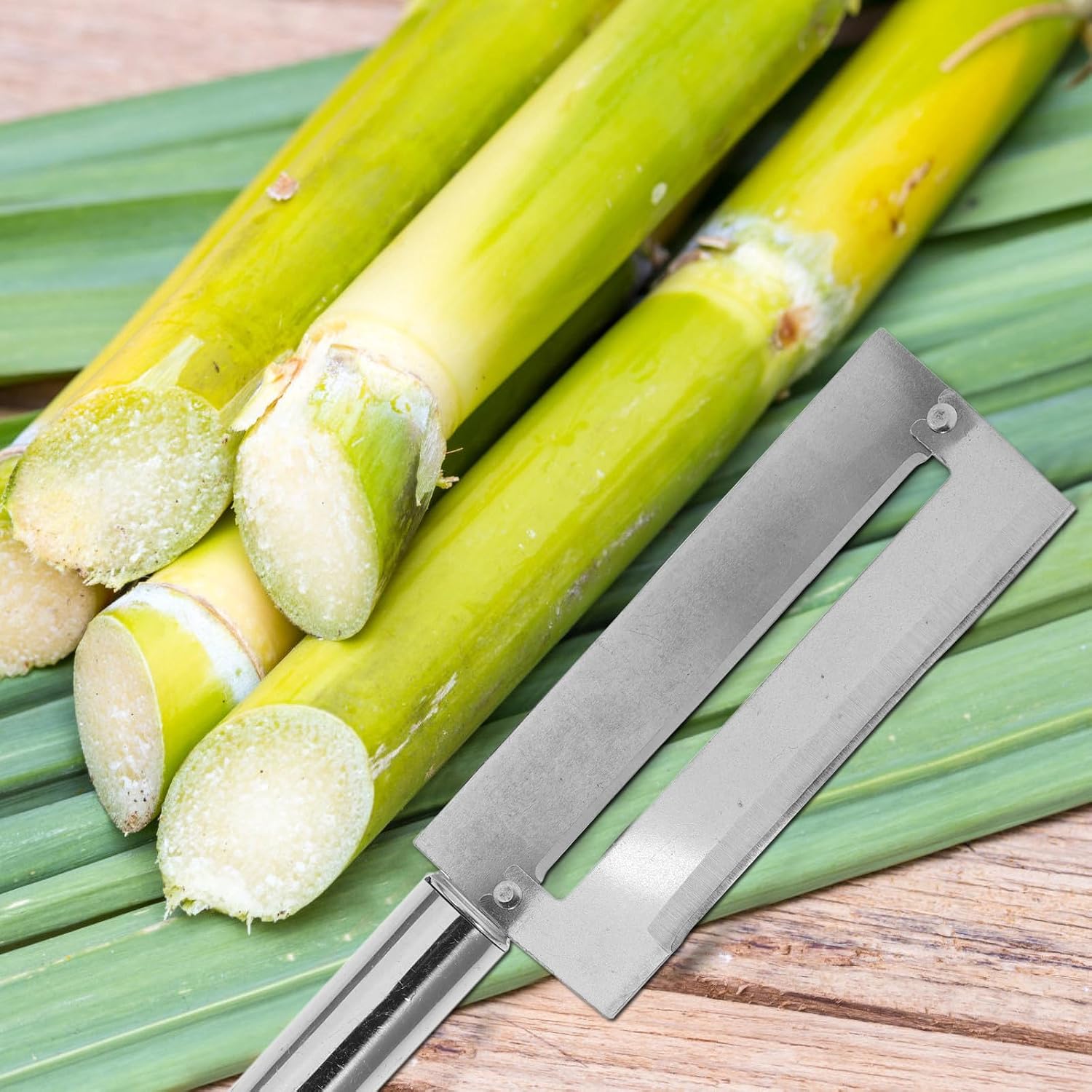 Sugar Cane Peeler Cutter with Practical Design Stainless Steel image 5