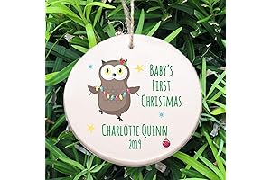 Baby's First Christmas Ornament - Racoon