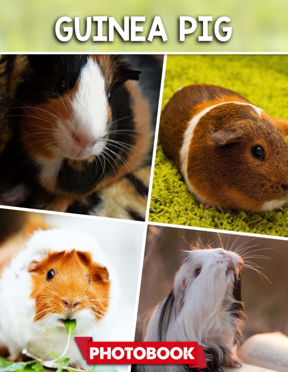 Guinea pig Photo Book: Picture Collection For Adults With Dementia And Alzheimer’s Patients – Adorable Guinea Pig Images In Cozy Home Settings