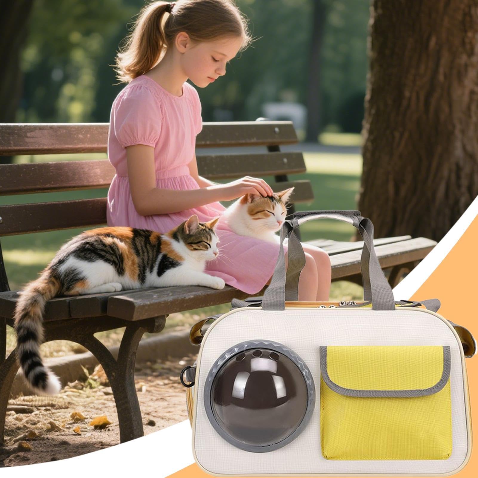 Katzentransportbox | Tragbox Mit Blasenfenster Für Katzen | Stoßfest & Atmungsaktiv Für Flugzeug Auto Outdoor Krankenhaus Camping