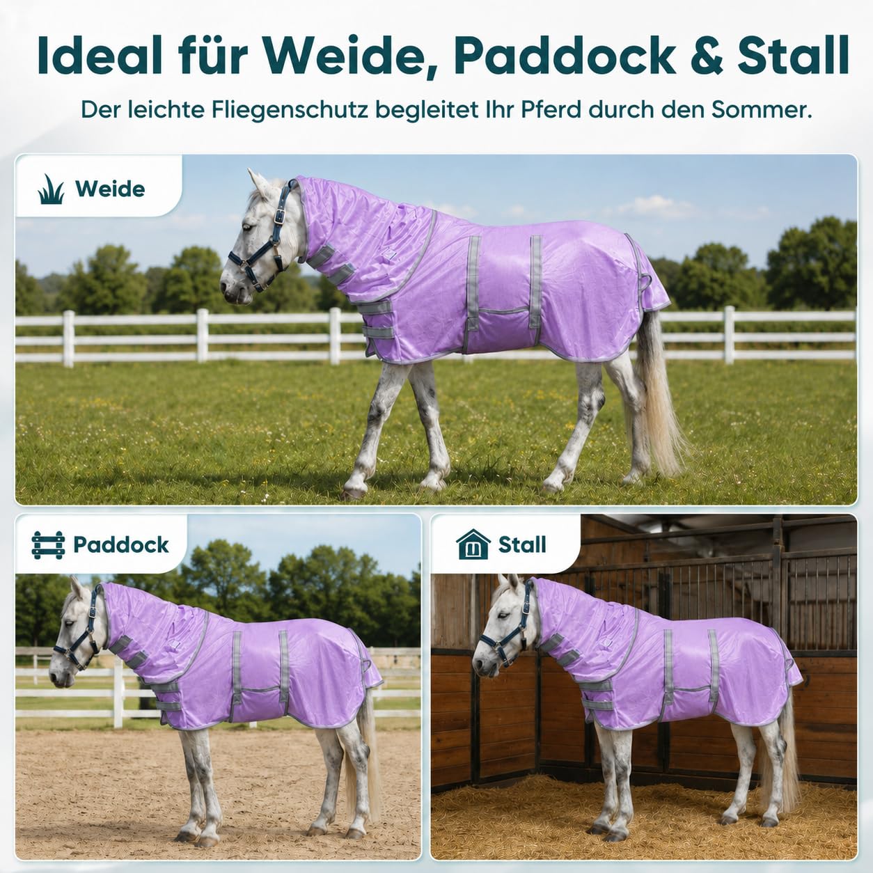 Leberna Shetty Fliegendecke mit Halsteil&Bauchlatz luftdurchlässige Sommerdecke mit Brustschutz für Pony Ekzemerdecke für Fohlen