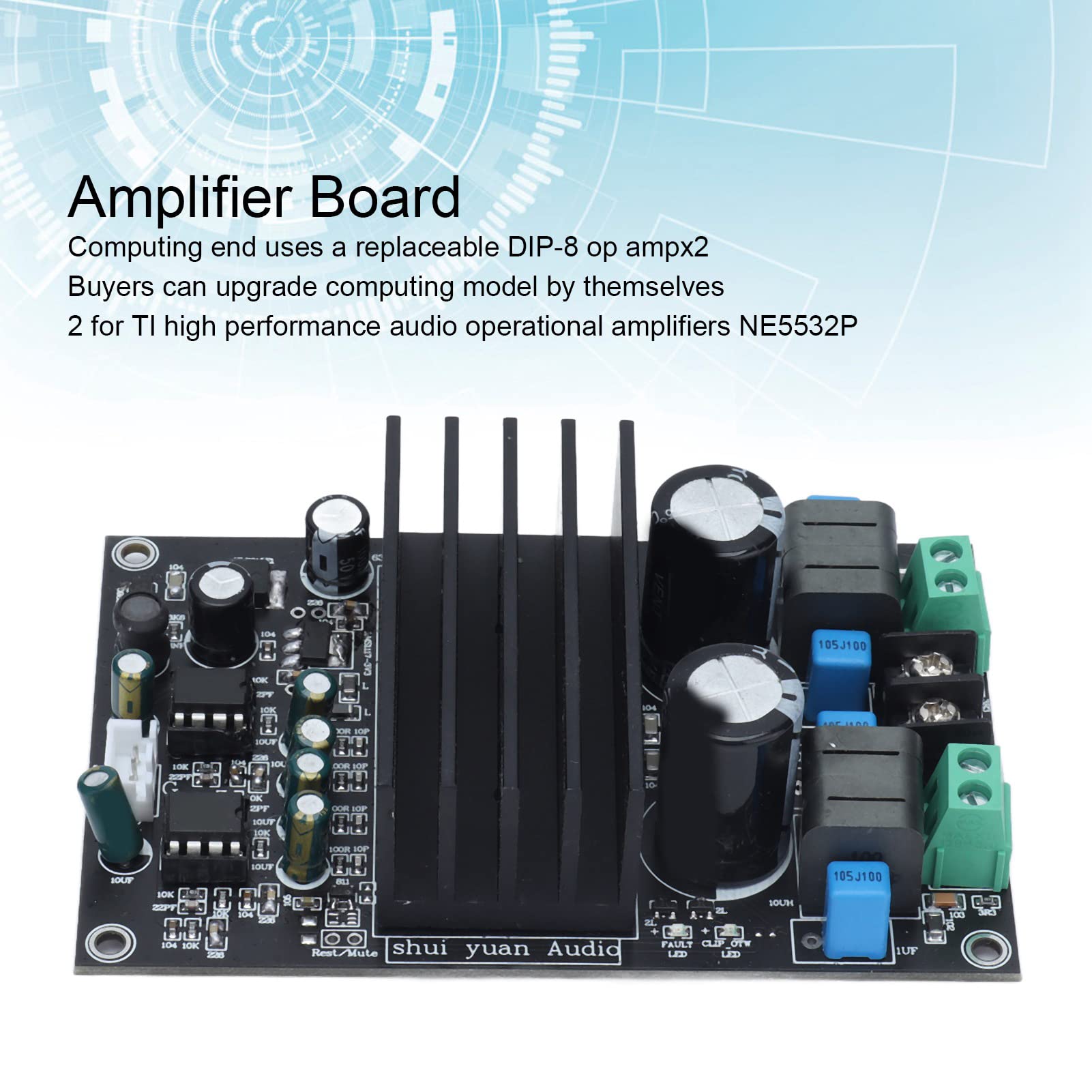 Modulo amplificatore digitale audio ad alta potenza Classe D 2.0 per l'home entertainment