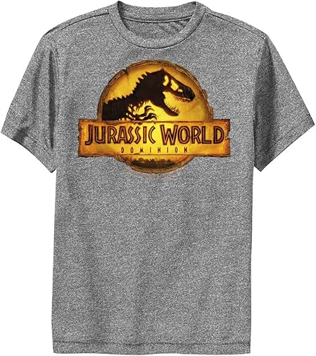 Jurassic World Boys' JW Dominion Logo T-Shirt, Charcoal Heather, Large