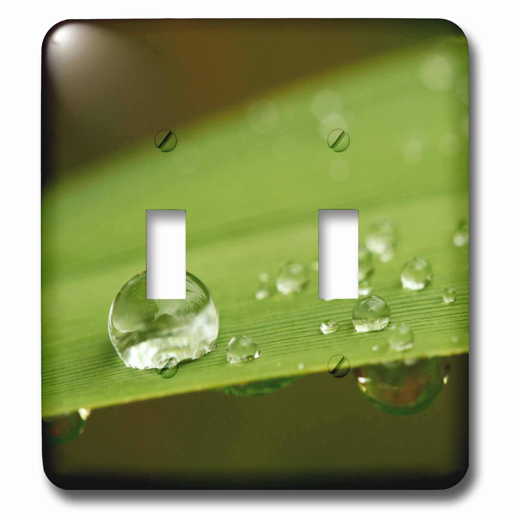 Gotas de agua en hoja interruptor doble para salones modernos decorados con naturaleza