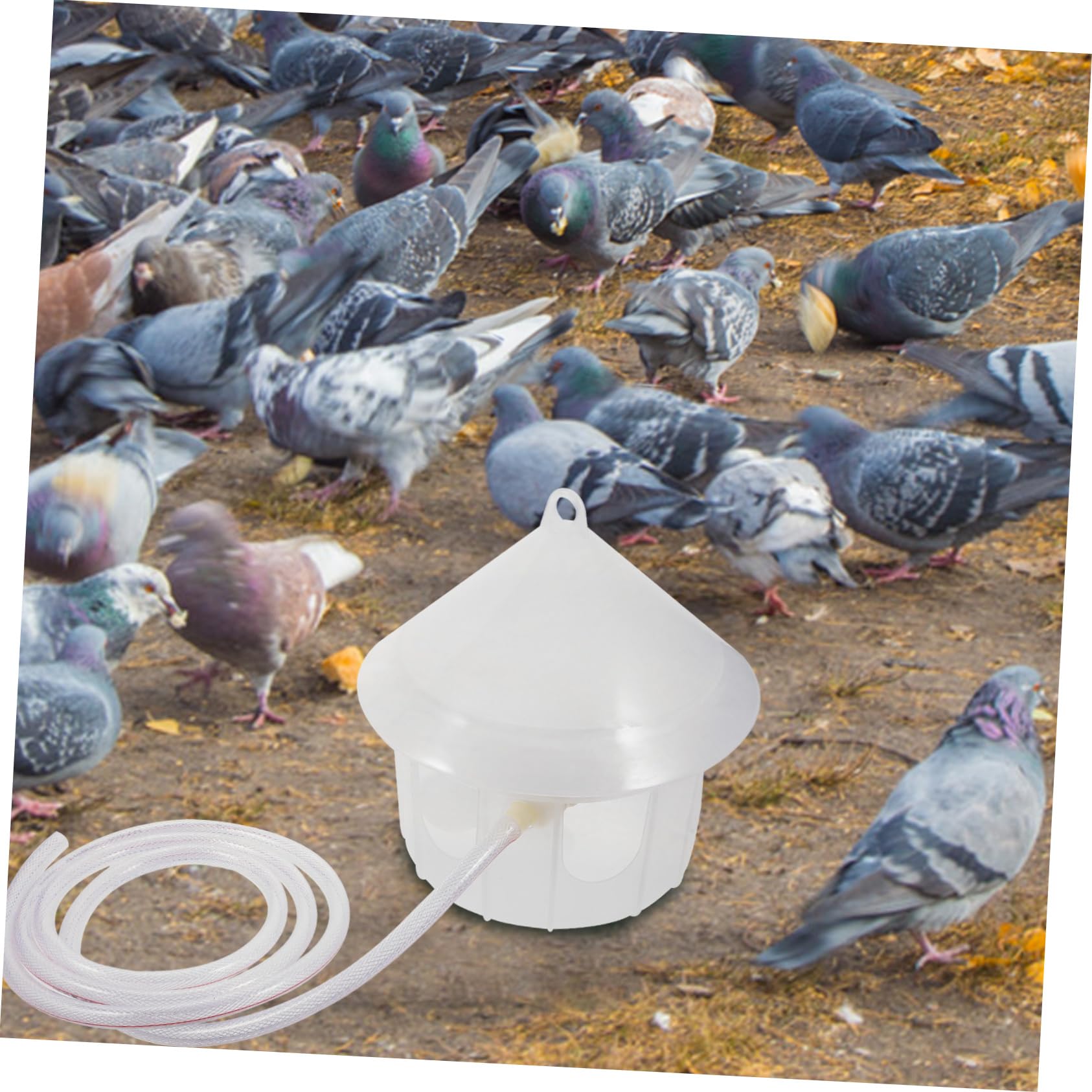 ORFOFE Dispensador Automático De Agua para Palomas Bebedero De Plástico para Aves Alimentador De Agua para Mascotas Sin Necesidad De Recarga para Palomas y Periquitos