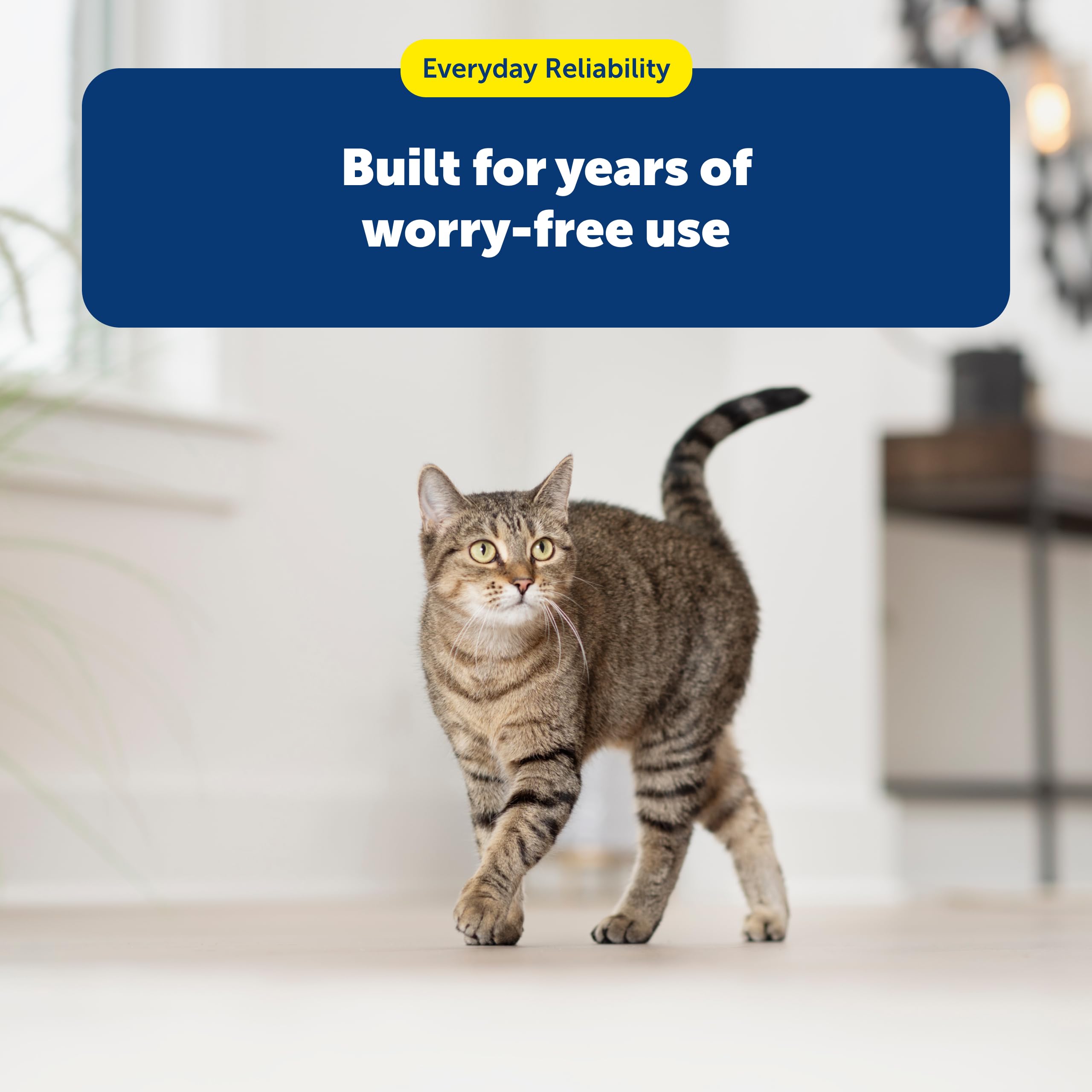 PetSafe Oasys 1/2 Gallon Pet Fountain - Cat & Dog Hydration Station with Free-Falling Water Stream & Customizable Flow - Encourages Hydration & Protects Sensitive Whiskers - 1/2 Gallon: 1 Gallon Fountain 1 Gallon