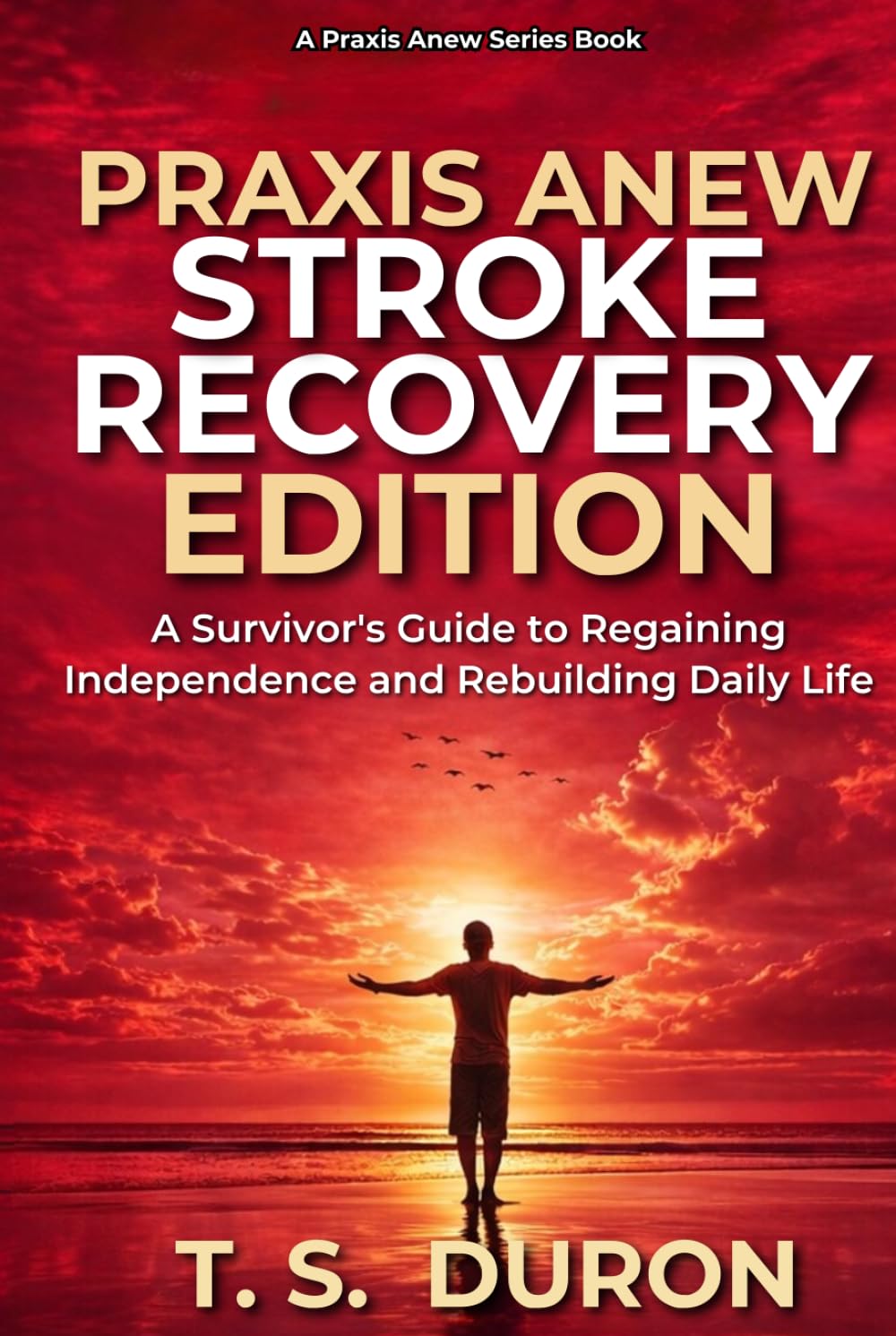 Praxis Anew Stroke Recovery Edition: A Survivor’s Guide to Regaining Independence and Rebuilding Daily Life (The Praxis Anew Series)