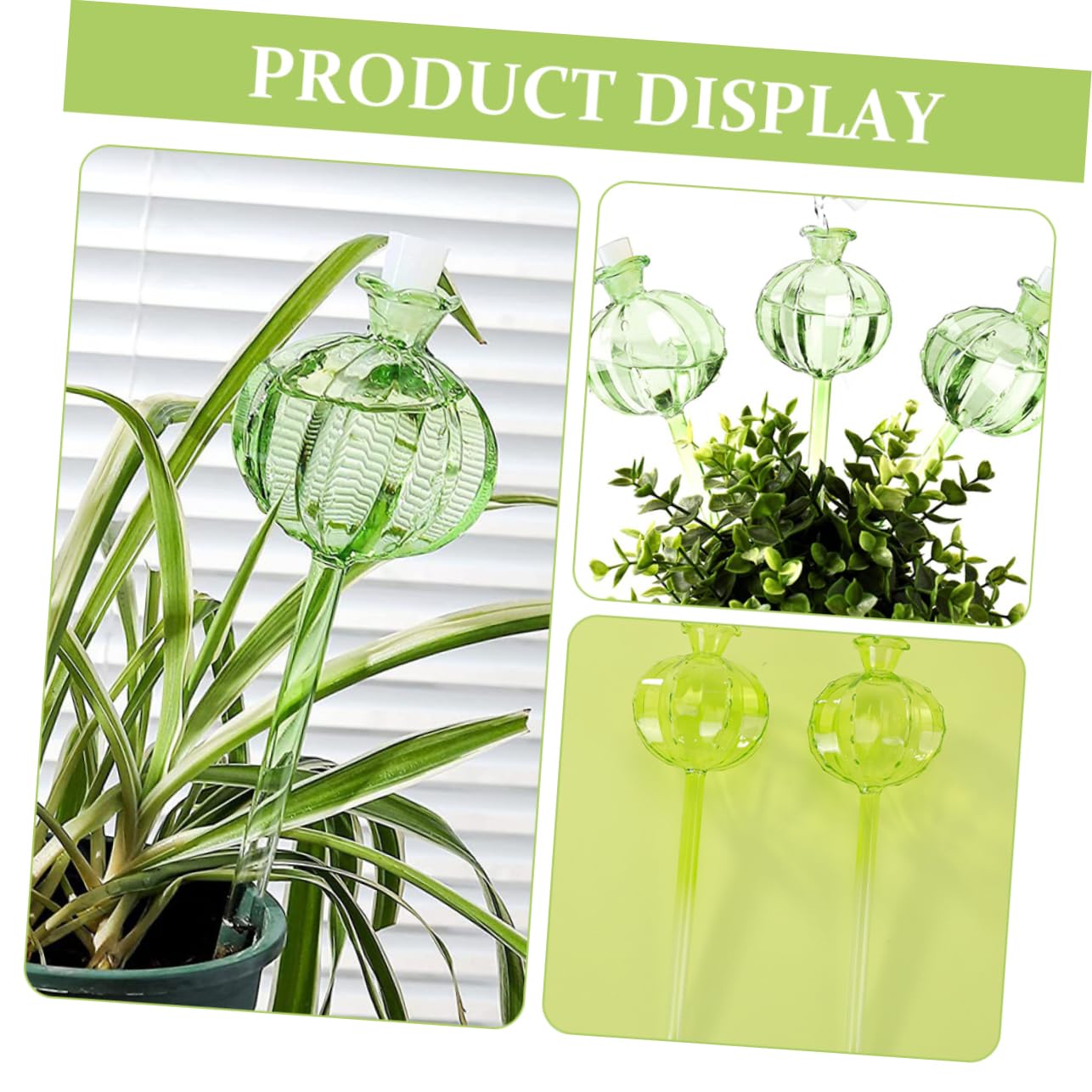 ibasenice Globe D’arrosage en Verre Cactus Vert 4 Pièces pour Plantes
