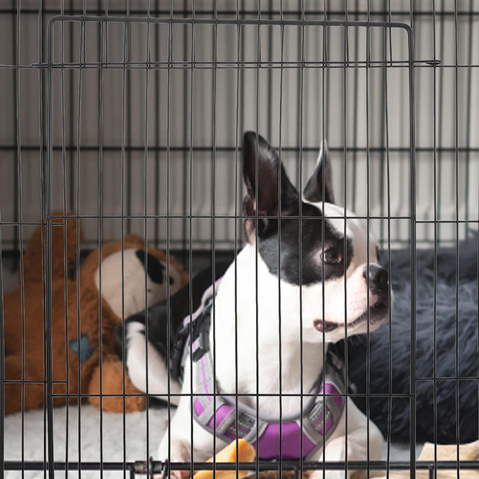 VICASKY Abnehmbare Kaninchenpforte aus Eisen mit Belüftung Schwarze Selbstgemacht Katzenkäfigtür für Kleine Haustiere für Zuhause und Reisen