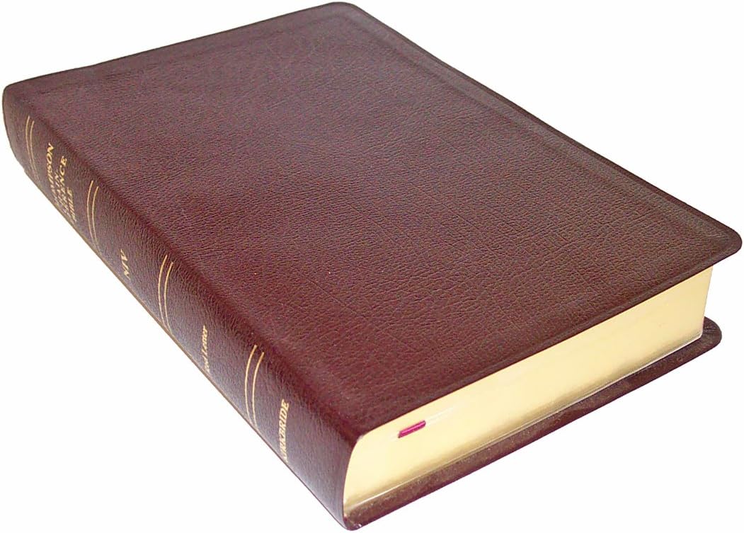 Thompson Chain Reference Bible (Style 809burgundy) - Regular Size NIV Leather Bound – January 1, 1984