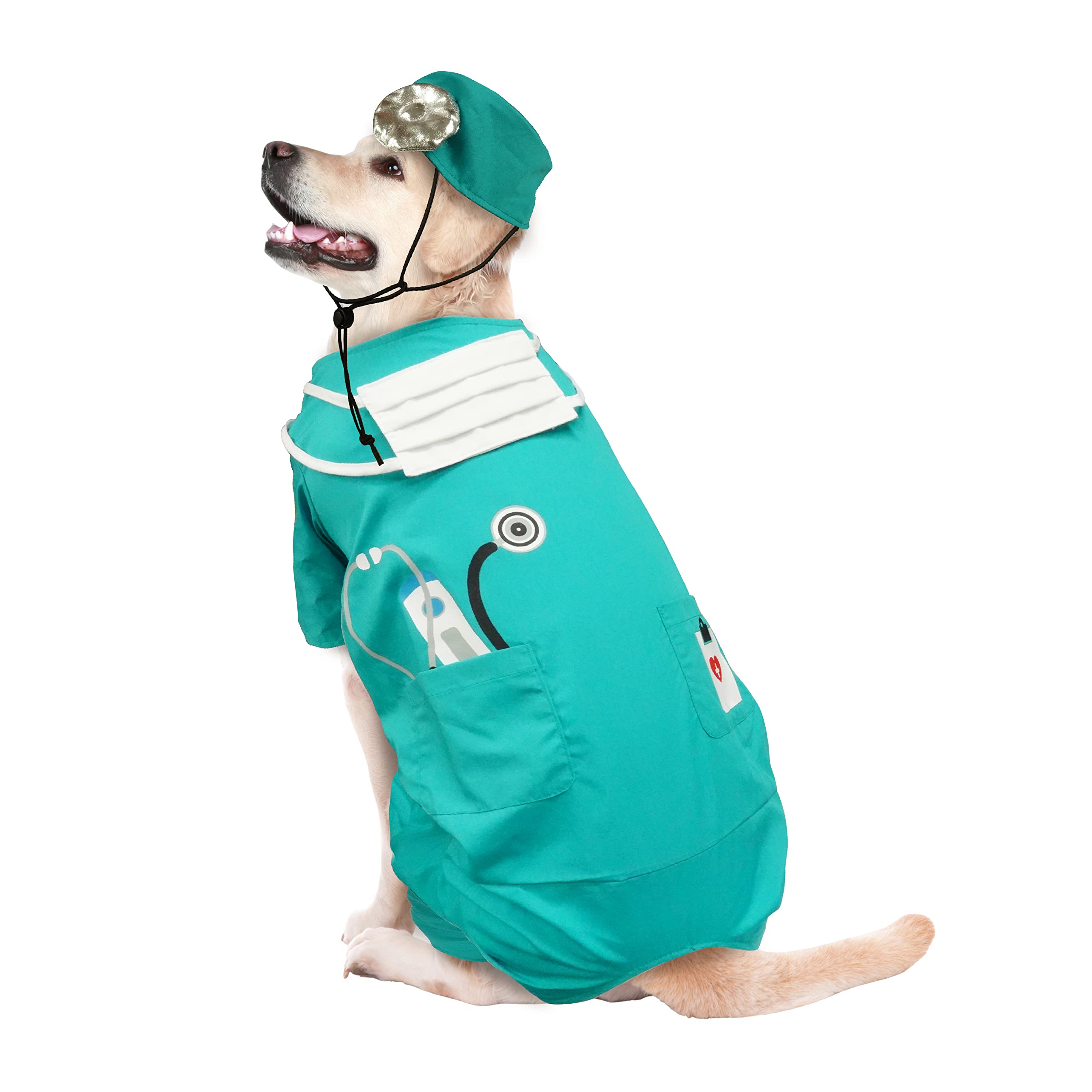 Amazon.com : Best Furry Friends Nurse Dog Costume, Large : Pet