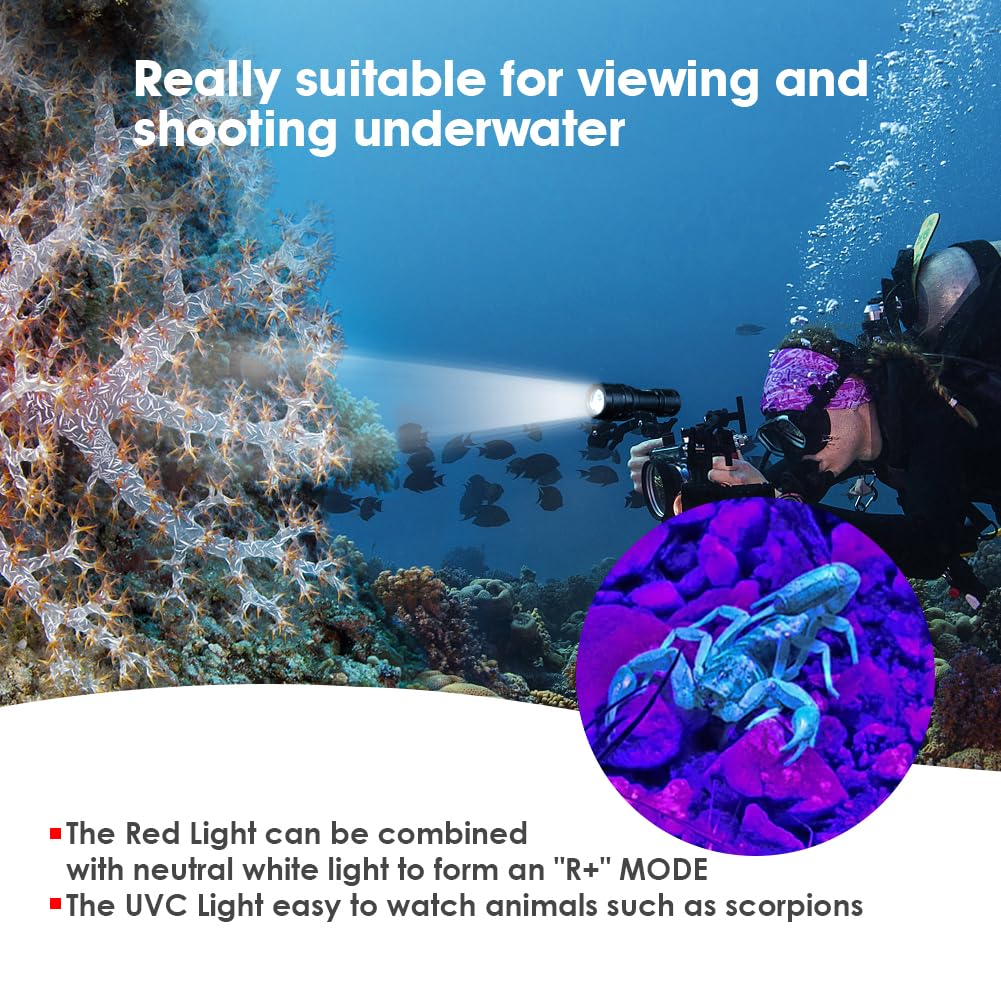 Willcrew DX70 3000 Lumens Tauchlampe, Video Fotografie Tauchen Taschenlampe, IPX8 WasserdichtTauchlampe, Dimmbarem Licht+UV-Rotlich, 100M Scuba Photo Fill Beleuchtung, Wiederaufladbare Akku