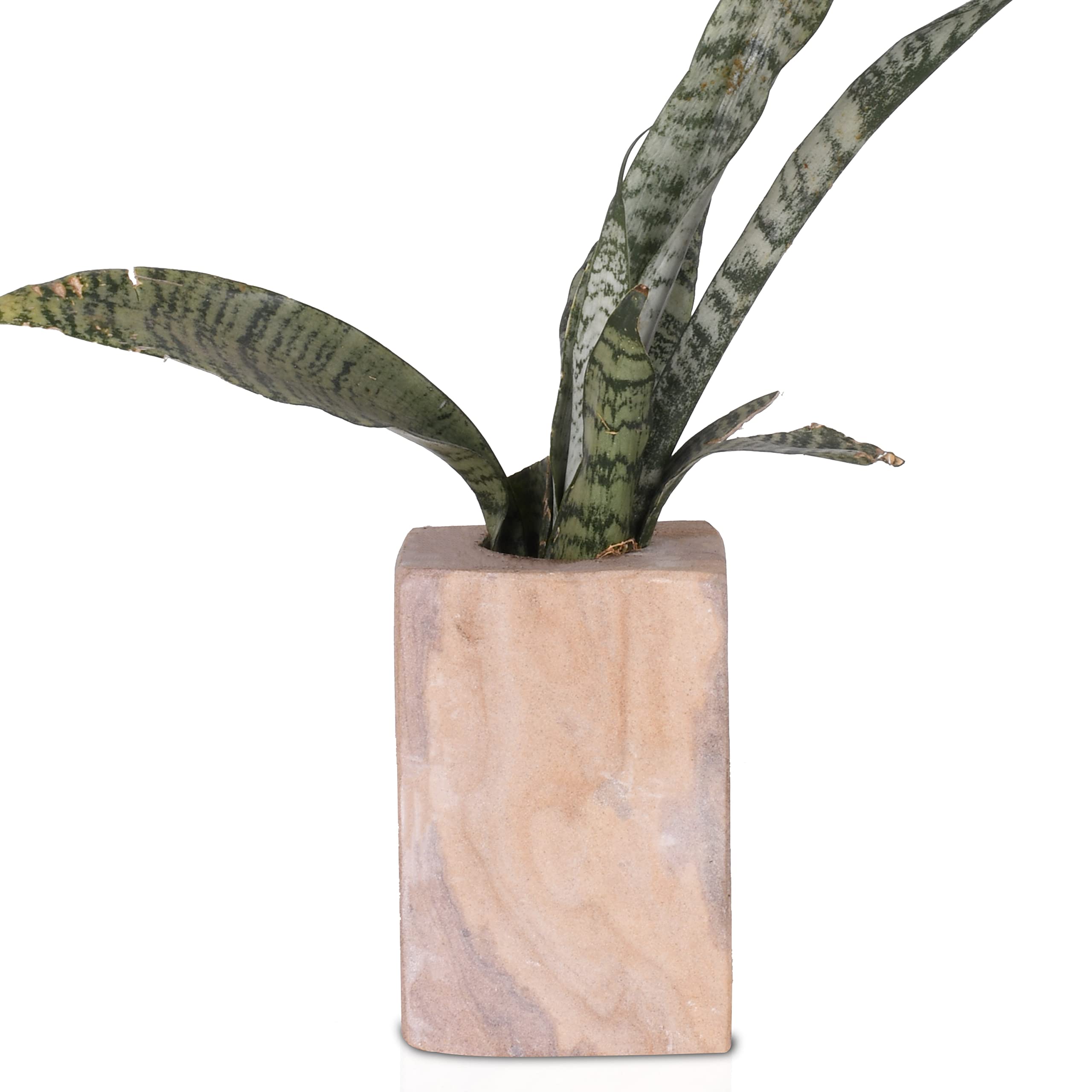 HINS Modern Design Natural Stone Unique Shape Lawa Rock Planter Big and Trendy Pot for Indoor and Outdoor Gardening for Garden Pots Plants I Pots for Plants I Succulent Pot Empty (Design 5) (B09L858L7S) Amazon Price History, Amazon Price Tracker