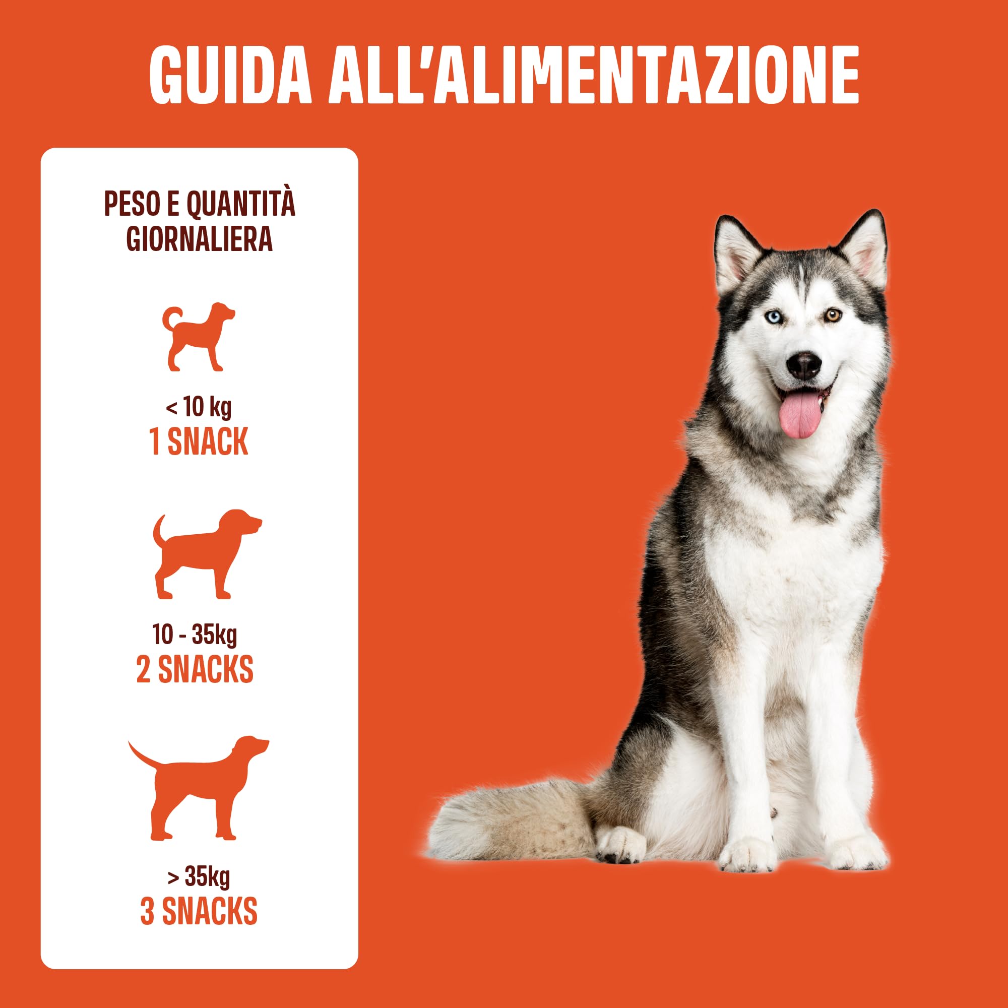 ivvi Outdoor per Cani – Snack Morbidi con Lievito di Birra, Olio di Cumino Nero, Olio di Krill e Cisto – Pelle, Pelo e Difese Naturali – 270 g, 60 Snack