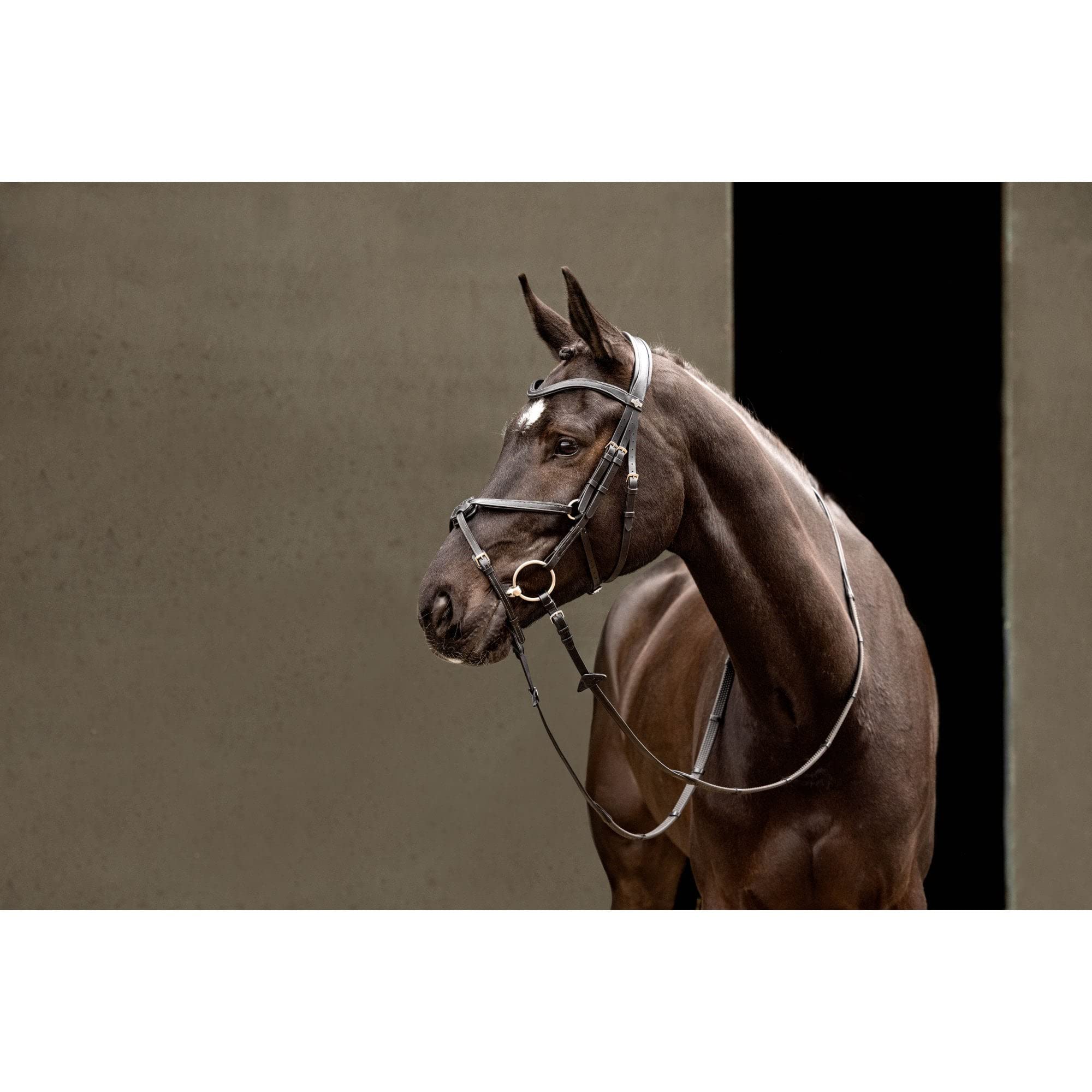 LeMieux Arika Grackle Briglia - Nero/Argento Cob
