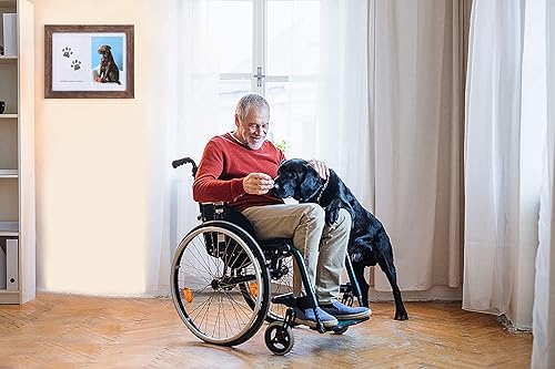 Vista 21 de KCRasan Marco de fotos conmemorativo para regalo de pérdida de mascotas, marco de recuerdo para perro o gato con recuerdo de homenaje