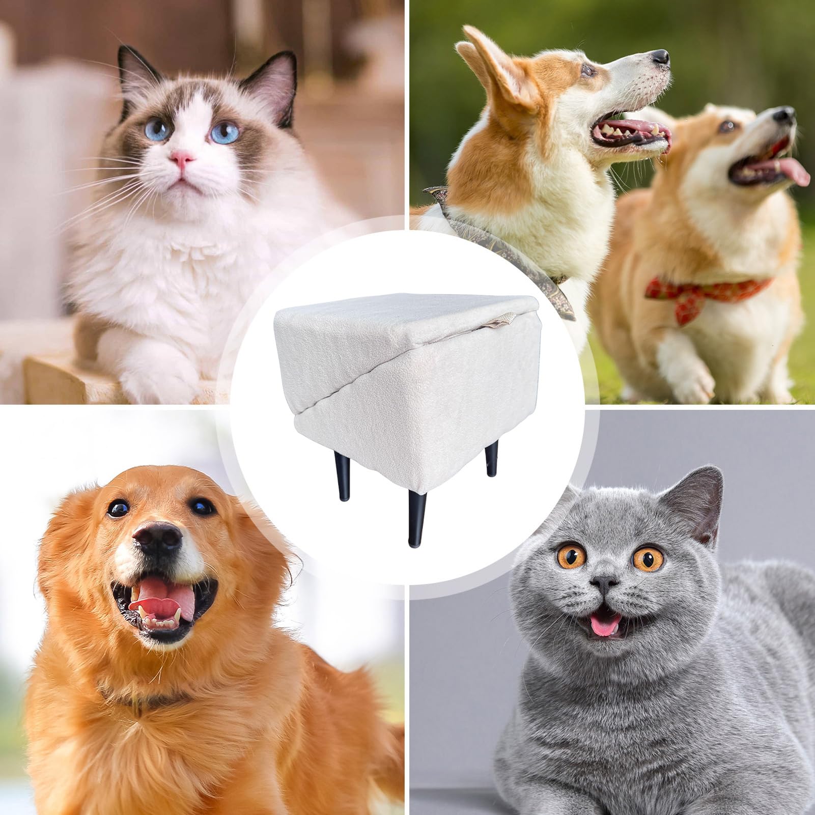 Rampa Cani Divisa Per Letto E Divano, Rampa Pieghevole Cani, Sgabello Antiscivolo Gradini Divisi Per Canis Piccola Taglia Gatti, Sgabello Multifunzionale Resistente Allusura Scale Canis Gatti