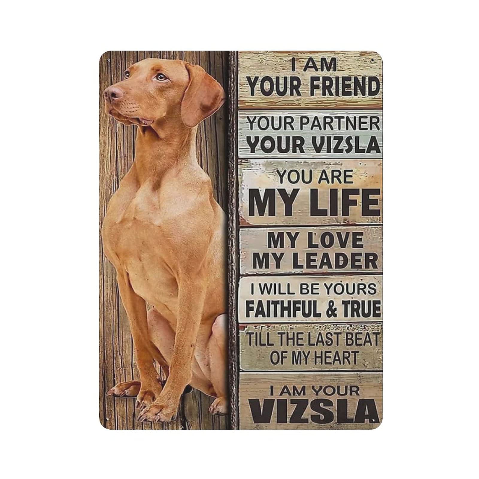 rayprint Metal Tin Sign Vizsla Dog Vintage Tin Poster Metal Sign Wall Decoration Country Kitchen Home Garage Decor 16"x12"