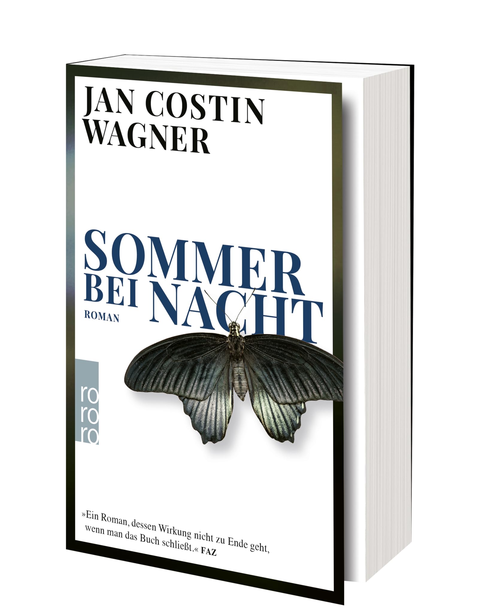 Sommer bei Nacht: Vom Gewinner des deutschen Krimi-Preises: 1