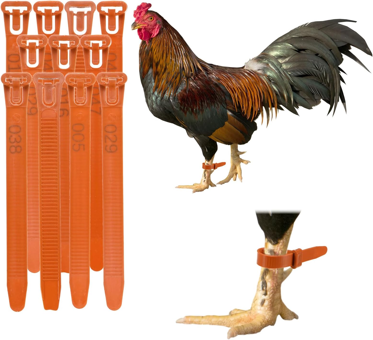 50-Pack Adjustable Chicken Leg Bands, 10-28 mm Plastic Poultry Identification Chicken Leg Rings for Turkey/Duck/Goose/Chicks, Colorful Numbered Foot Clip on Tags [Orange]