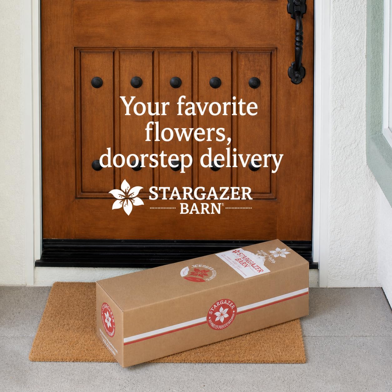 Stargazer Barn 10 Stem Sunflower Bouquet - Without Vase | Fresh Cut Flower Delivery Hand-Tied in the USA Gift for Birthday Anniversary Sympathy or Home Decor product thumbnail 4