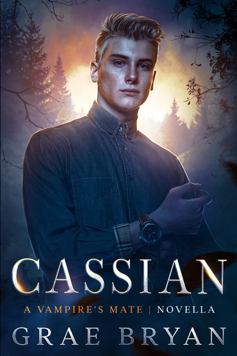 Cassian (Vampire's Mate)