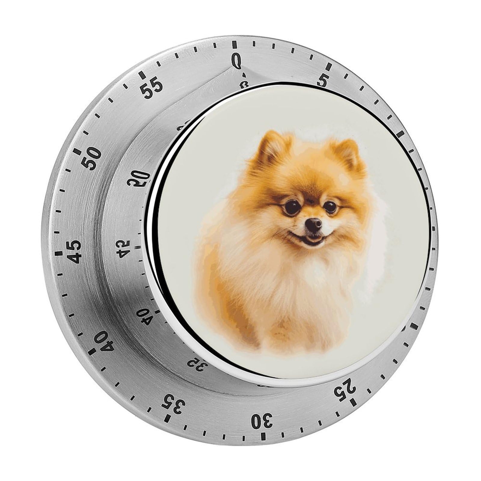 Yellow Pomeranian Timer Exquisite Stainless Steel Body Mechanical Desk Timers 60 Minutes Visual Countdown Timers with Magnetic Backing Loud Alarm Kitchen Timer for Cooking