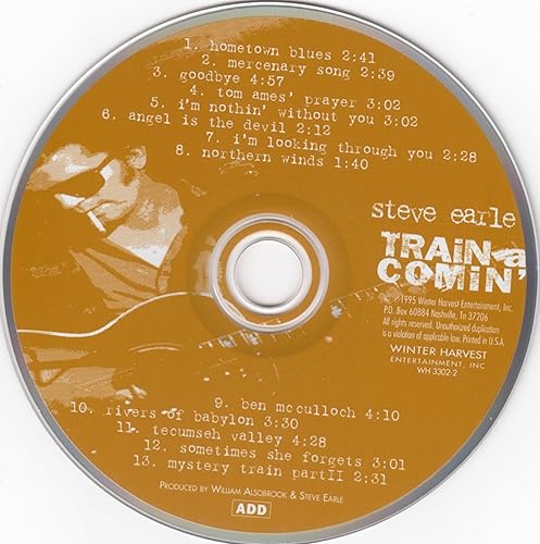 Miniatura 5 de Train a Comin'